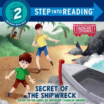 Secret of the Shipwreck
