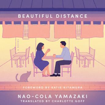 Beautiful Distance: A Novel
