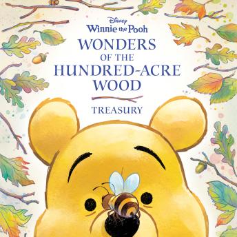 Wonders of the Hundred-Acre Wood Treasury (Winnie-the-Pooh)
