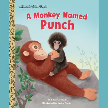 A Monkey Named Punch