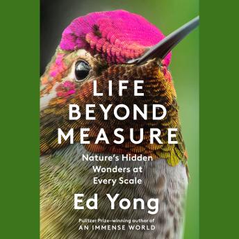 Life Beyond Measure: Nature's Hidden Wonders at Every Scale