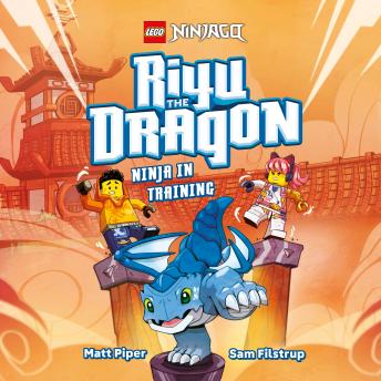 LEGO NINJAGO Riyu the Dragon Ninja in Training