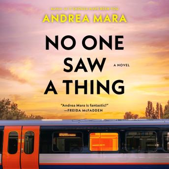No One Saw a Thing: A Novel