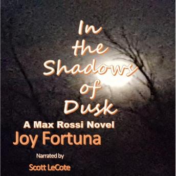 In the Shadows of Dusk: A Max Rossi novel