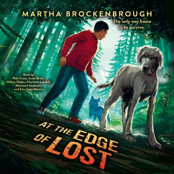 At the Edge of Lost