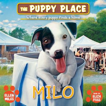 Milo (The Puppy Place #72)