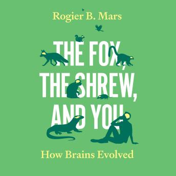 The Fox, the Shrew, and You: How Brains Evolved