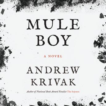 Mule Boy