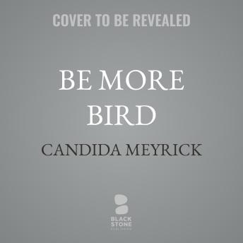 Be More Bird: Life Lessons from a Hawk