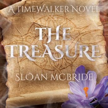 The Treasure: A Time Walker Romance