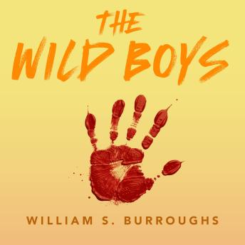 The Wild Boys