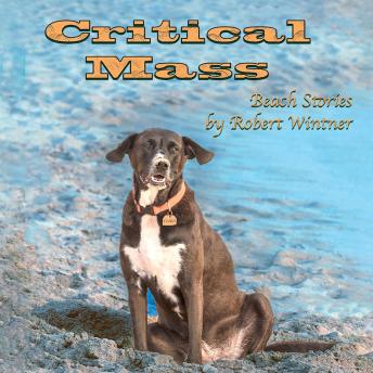 Critical Mass: Beach Stories by Robert Wintner