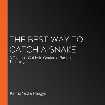 The Best Way to Catch a Snake: A Practical Guide to Gautama Buddha's Teachings