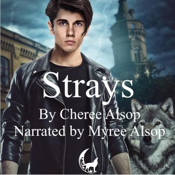 The Werewolf Academy Book 1: Strays