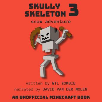 Skully Skeleton 3: Snow Adventure