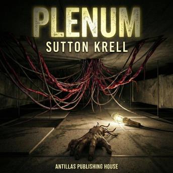 Plenum