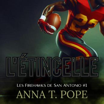 [French] - L'étincelle: Un M/M, Ennemis à amoureux, Interdit, Romance footballistique