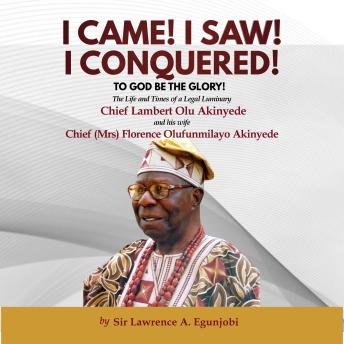 I CAME! I SAW! I CONQUERED! MIXED: The Life and Times of a Legal Luminary