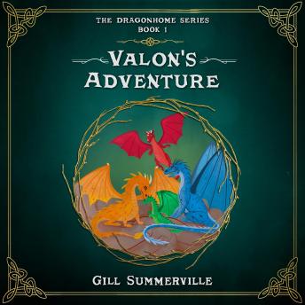 Valon's Adenture