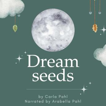 Dream Seeds: A Hypnotic Bedtime Journey