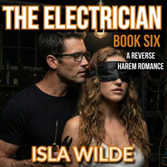 The Electrician: A Reverse Harem Romance