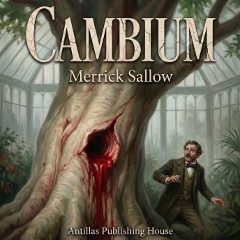 Cambium