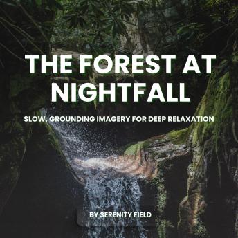 The Forest at Nightfall: Slow, Grounding Imagery for Deep Relaxation