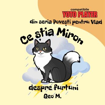 [Romanian] - Ce știa Miron despre furtuni: Povești audio pentru copii în limba română