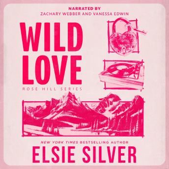 Wild Love: A Small Town Brother's Best Friend Romance