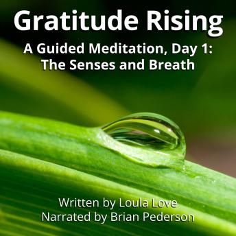 Gratitude Rising, Day 1: A Guided Meditation: The Senses and the Breath