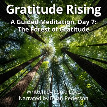 Gratitude Rising, Day 7: A Guided Meditation: The Forest of Gratitude