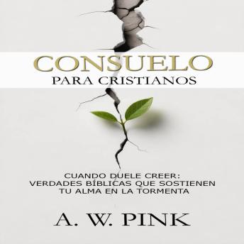 [Spanish] - Consuelo para Cristianos: Cuando duele creer: verdades bíblicas que sostienen tu alma en la tormenta