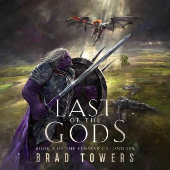 Last of the Gods: Book 3 of the Ethasar Chronicles