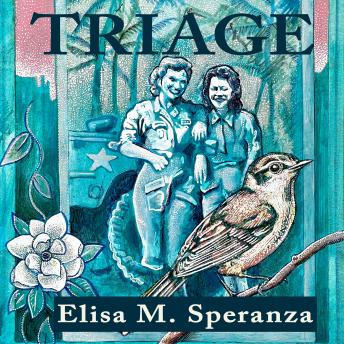 Triage: A Novel