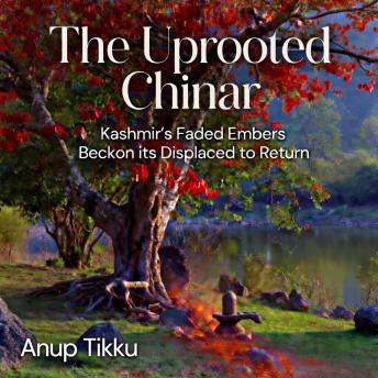 The Uprooted Chinar: Kashmir’s Faded Embers Beckon Its Displaced To Return