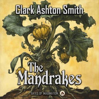The Mandrakes