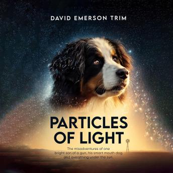 Particles of Light: The misadventures of one bright son of a gun, his smart mouth dog and everything under the sun.