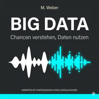 [German] - Big Data – Chancen verstehen, Daten nutzen: Dein praxisnaher Leitfaden für datengetriebene Entscheidungen
