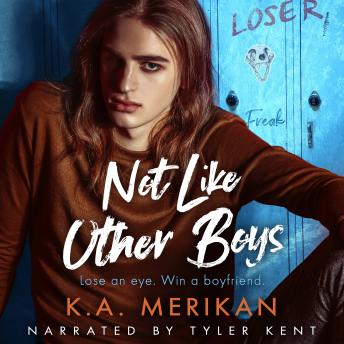 Not Like Other Boys: gay bully romance