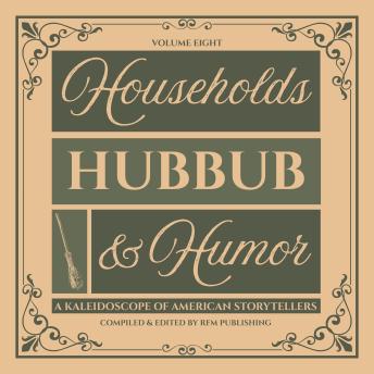 Households, Hubbub, & Humor: Comic Tales of American Domestic Disasters
