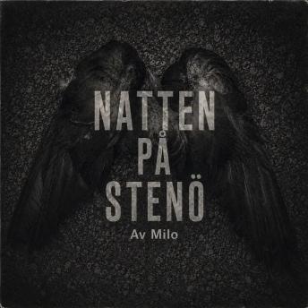 [Swedish] - Natten på Stenö