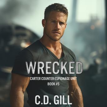 Wrecked: Protector Hero, Forced Proximity, Slow-burn Romantic Suspens
