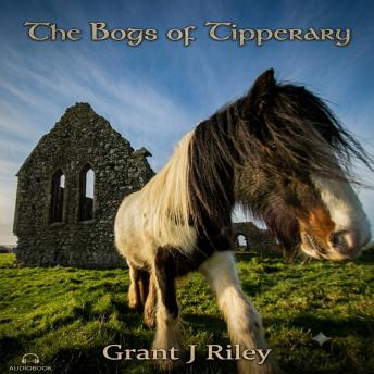 The Bogs of Tipperary