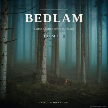[Spanish] - Bedlam (tomo I): Cinco cuentos sobre la locura