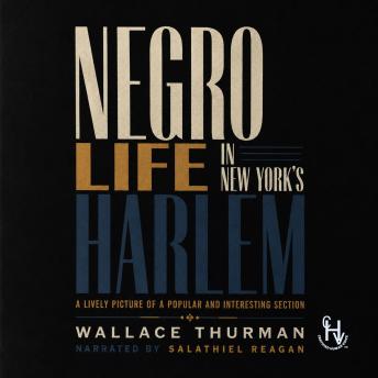 Negro Life In New York's Harlem