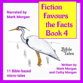 Fiction Favours the Facts – Book 4: 11 more Bible-based micro-tales
