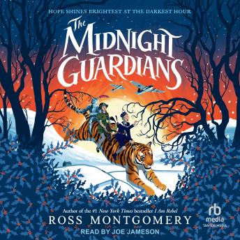 The Midnight Guardians