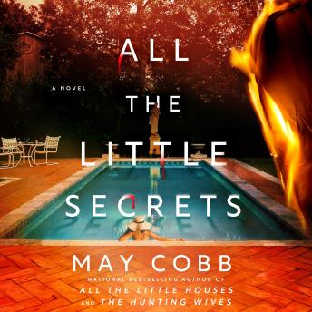All the Little Secrets: A Novel