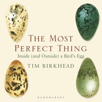The Most Perfect Thing: Inside (and Outside) a Bird’s Egg