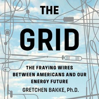 The Grid: The Fraying Wires Between Americans and Our Energy Future